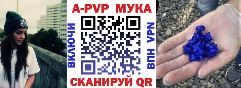 OMG tor  Сыктывкар  А ПВП СК КРИС 