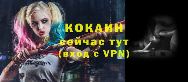 2c-b Мегион