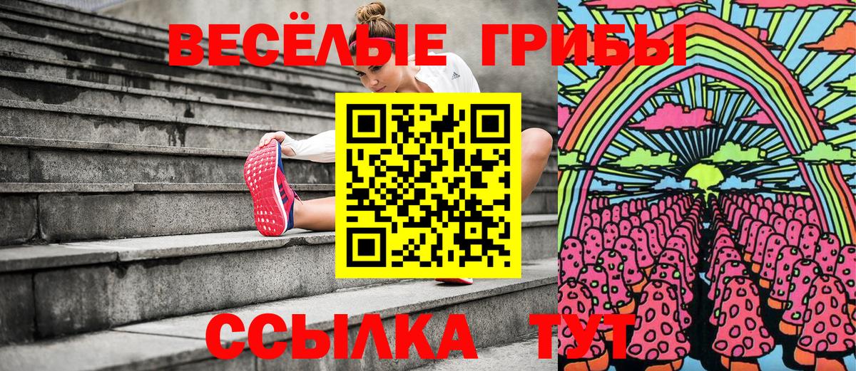 Псилоцибиновые грибы мухоморы Сыктывкар