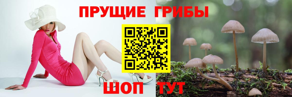 Псилоцибиновые грибы прущие грибы  купить наркотики сайты  Вход с VPN  Сыктывкар  Галлюциногенные грибы Cubensis 